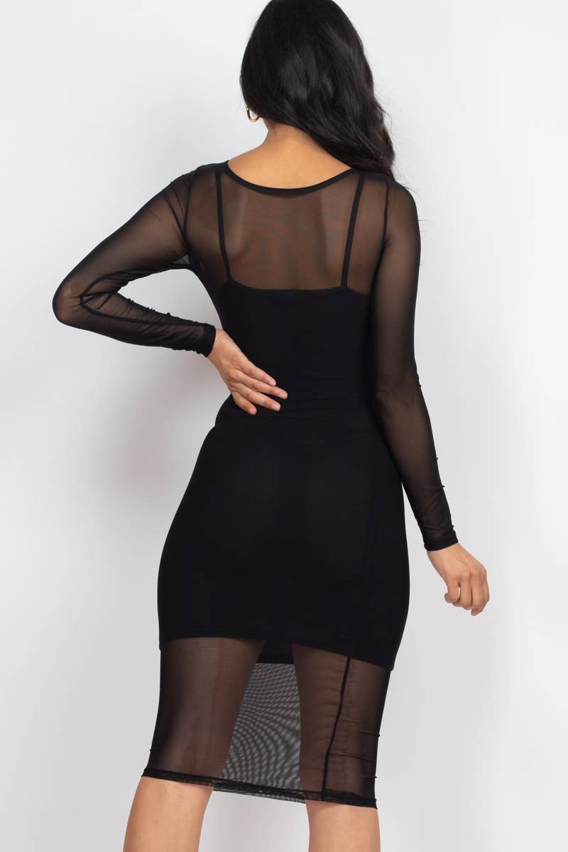 Sheer Mesh Dress