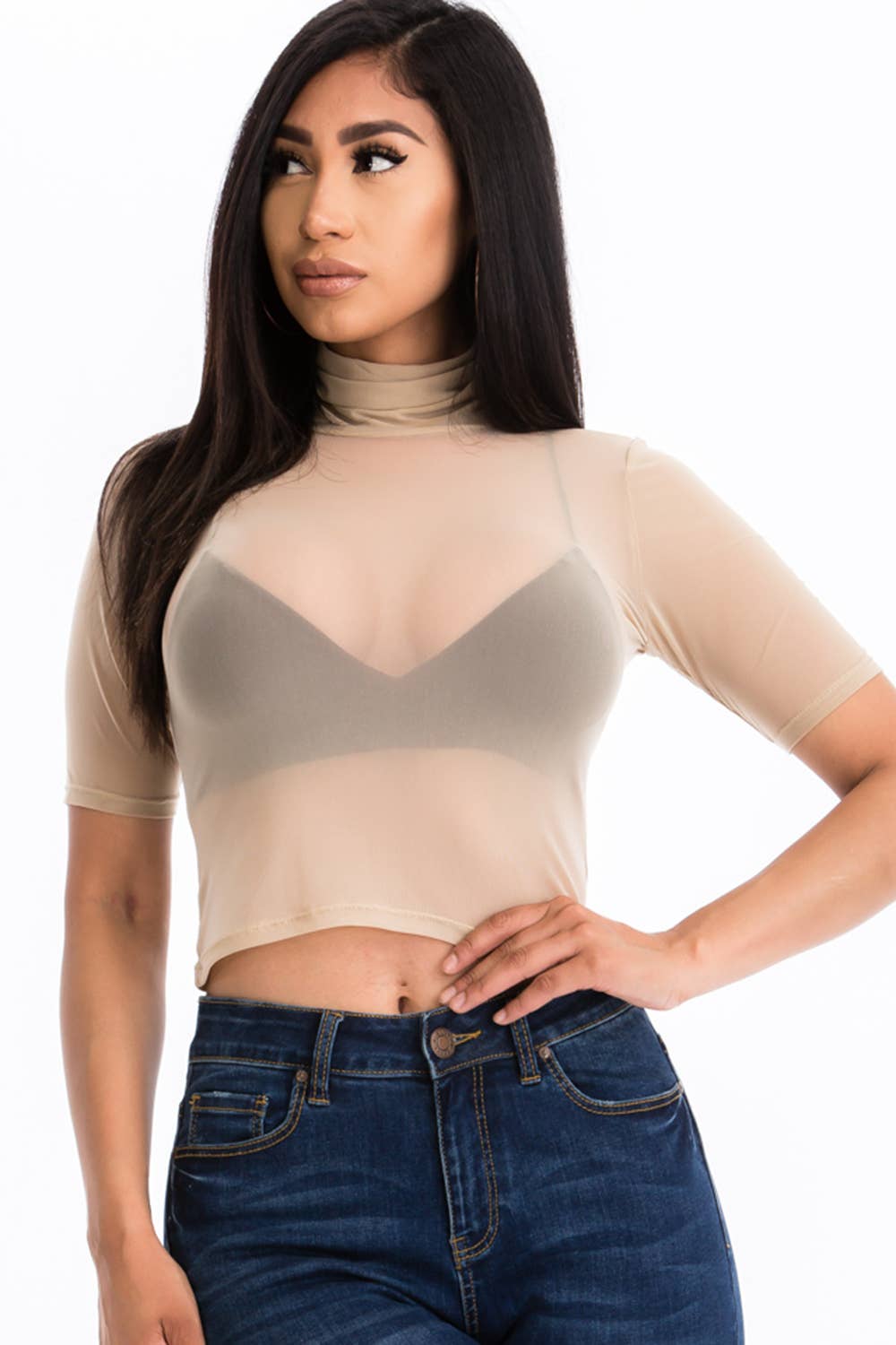 Mesh Sheer Mock Neck Crop Top