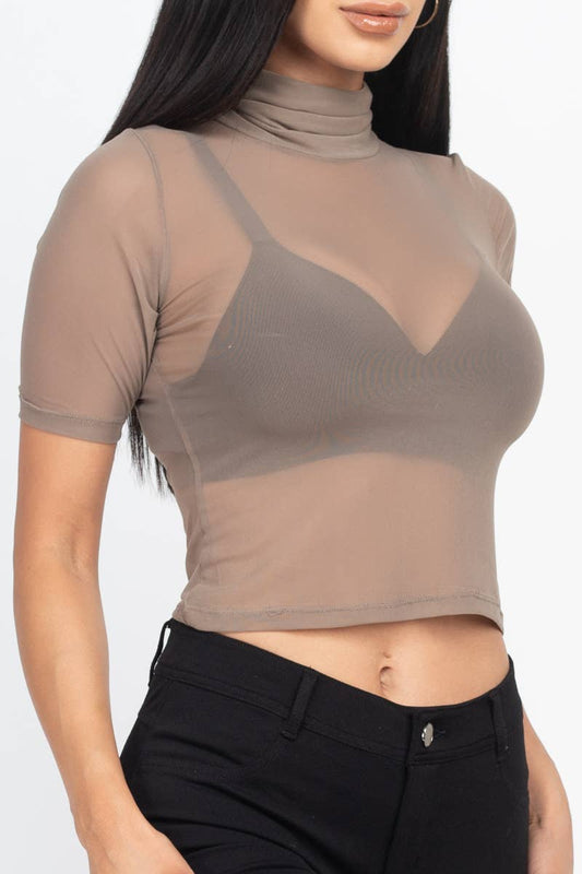 Mesh Sheer Mock Neck Crop Top